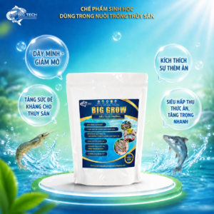 Alternative view of Big Grow – Men đường ruột và Khoáng siêu tăng trưởng