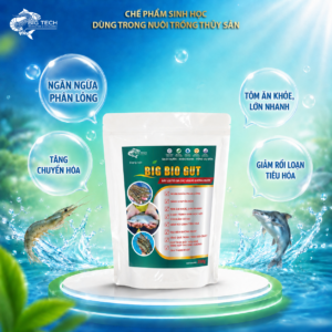Alternative view of Big Bio Gut – Thức ăn phòng và hỗ trợ điều trị bệnh phân trắng trên tôm