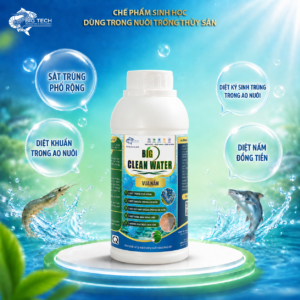 Alternative view of Big Clean Water – Hóa chất xử lý môi trường nuôi trồng thủy sản, diệt khuẩn tối da