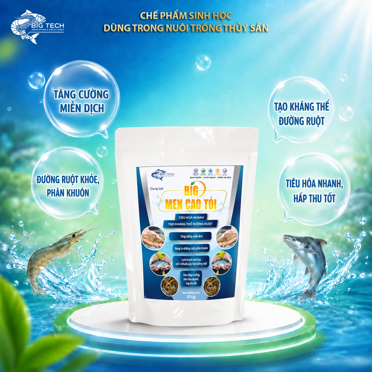 Big Men Cao Tỏi – Men cao tỏi cao cấp Siêu tăng trưởng, Tiêu hoá nhanh - Ảnh 2