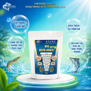Alternative view of Big Hepa Boost – Thức ăn bổ sung phòng và hỗ trợ điều trị gan tôm