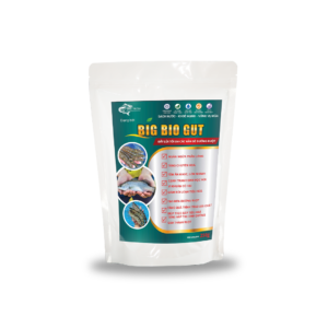 Big Bio Gut – Thức ăn phòng và hỗ trợ điều trị bệnh phân trắng trên tôm