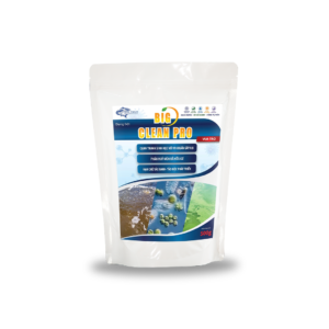 Big Clean Pro – Chế phẩm sinh học men vi sinh chuyên cắt tảo xanh tảo độc
