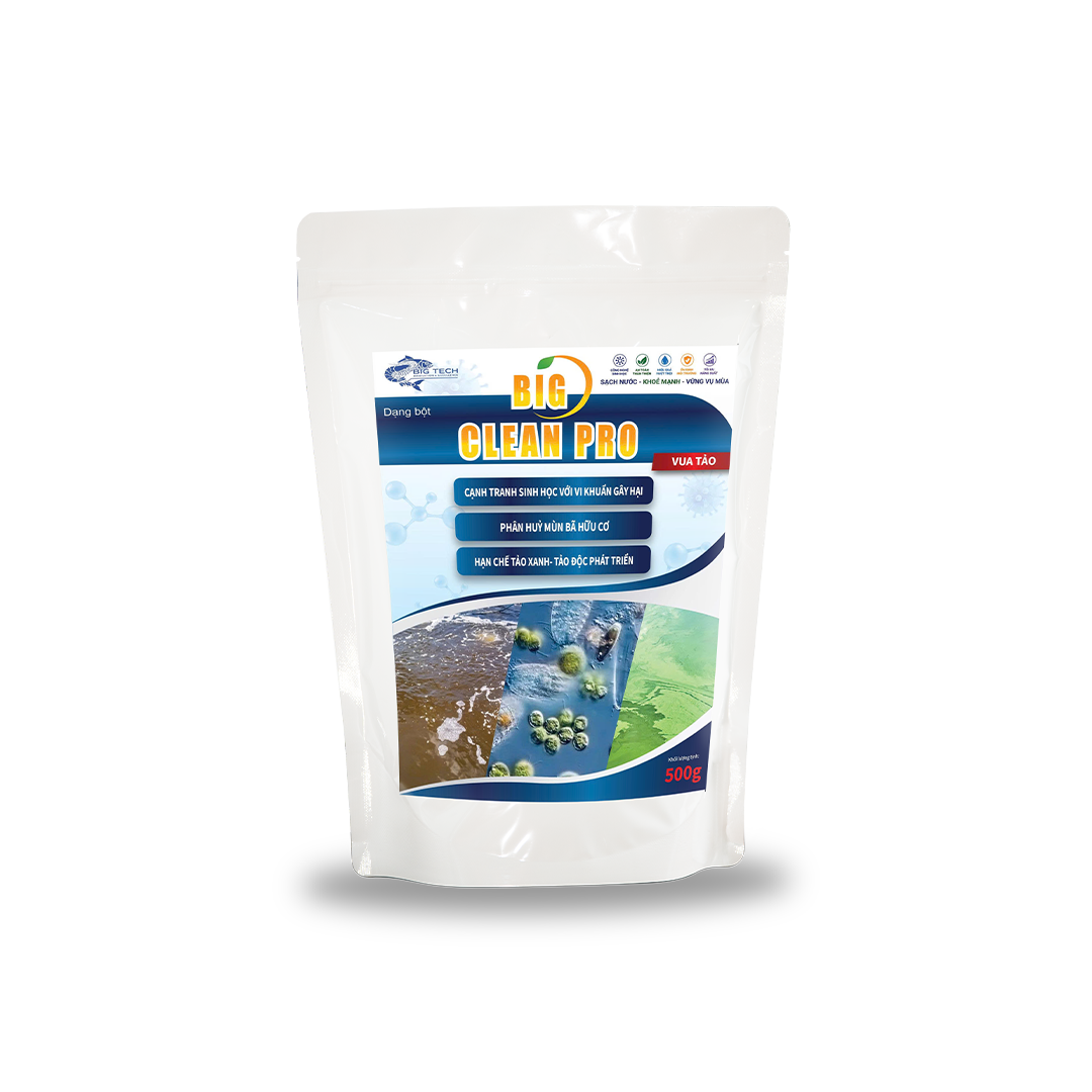 Big Clean Pro – Chế phẩm sinh học men vi sinh chuyên cắt tảo xanh tảo độc