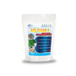 Big Clean X - Chế phẩm sinh học men vi sinh xử lý làm sạch nước và đáy ao nuôi